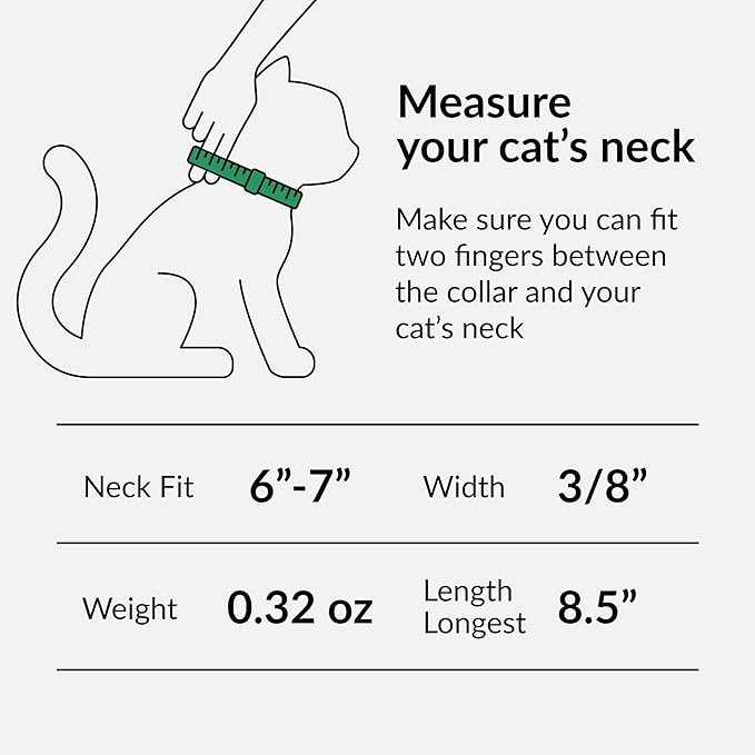 CollarDirect Leather Cat Collar with Bell - Kitten Collar, Small and Big Cat for Boy Cats, Girl Cats with Safety Elastic Strap (Neck Fit 6"-7", Light Blue)
