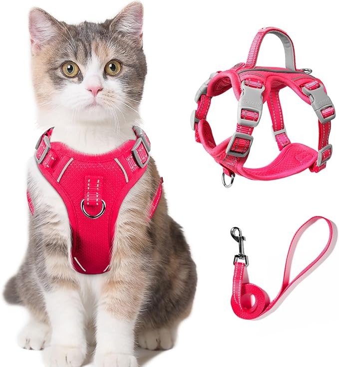 Cat Harness and Leash Set for Walking Escape Proof for Small Large cat Kitten Harness with ID tag Pocket (Pink,S)