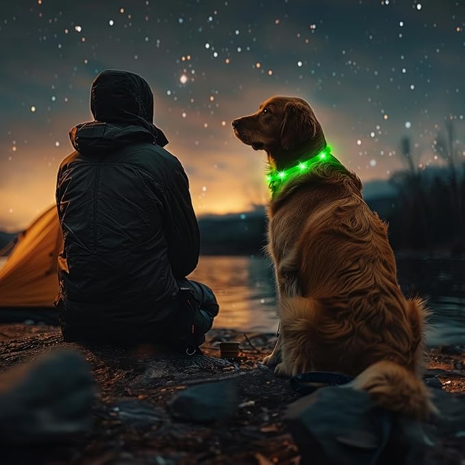 LED Dog Collar - HIGO Light Up Dog Collars Glow in The Dark, USB Rechargeable LED Dog Necklace Light for Your Dogs Walking at Night (Green-Silicone)
