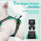 rabbitgoo Dog Harness No Pull with 2 Leash Clips, Adjustable Soft Padded, Reflective Oxford No Choke Pet Vest with Easy Control Handle for Puppy, Black & Turquoise, XS