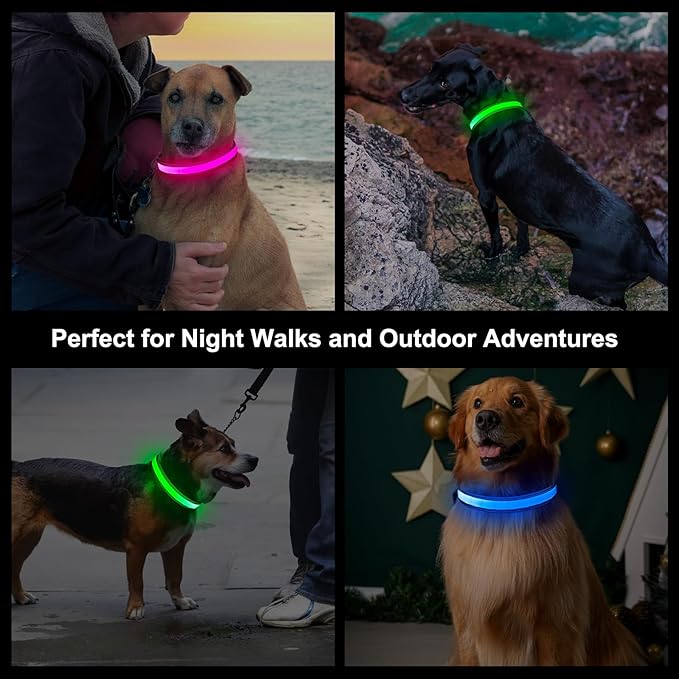 Light Up Dog Collar, Multicolor LED Dog Collar with 7 Modes, USB-C Rechargeable Reflective Glow Collar, Waterproof & Adjustable Design with Battery Indicator for Safe Night Walks(Large)