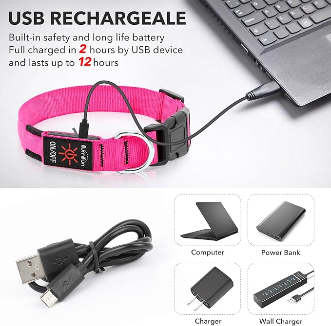 Illumifun LED Dog Collar USB Rechargeable Light Up Dog Collar, Water-Resistant Adjustable Safety Collar Light for Small Medium Large Dogs Glow in The Dark (Pink, Large)