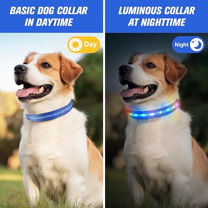 LED Dog Collar, Light Up Dog Collar, USB Rechargeable - Brightest Dog Lights for Night Walking, 6 Light Modes, Adjustable for Dog Safety(Large, Royal Blue)