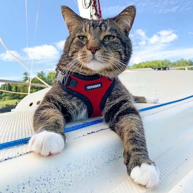 Voyager Escape-Proof Step-in Lock Cat Harness & 5ft Neoprene-Handle Leash Set All-Weather Mesh with Reflective Stitching for Small to Large Cats by Best Pet Supplies, Red/Black Trim, XXS