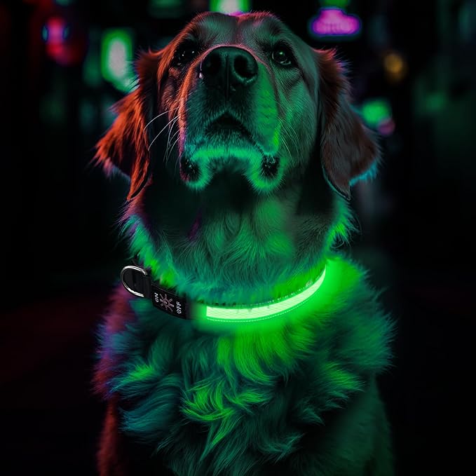 Light Up Dog Collar Rechargeable, LED Glow Collar in Dark with 3 Flash Mode for Outdoor Night Walking Visible Safe, Adjustable Waterproof Dog Light for Small Medium Large Breed, Blue, L