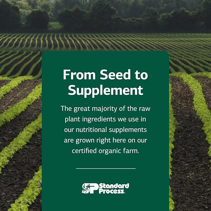 Standard Process Canine Adrenal Support - Nutritional Canine Supplement for Liver & Kidney Support - Powder Formula to Aid Dog's Adrenal Glands & Health - 100 g