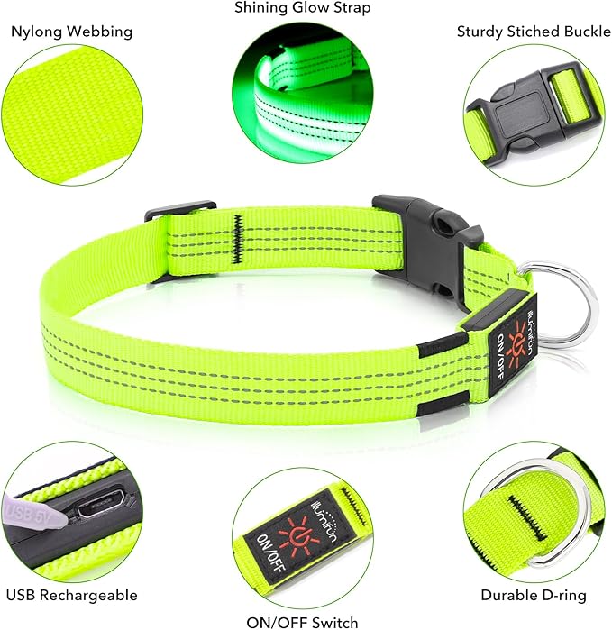Illumifun Light Up Dog Collar, USB Rechargeable LED Dog Collar, Reflective Flash Pet Lighted Collar for Nighttime Walking (GreenⅢ, Large)