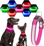 Visinite LED Dog Collar USB Rechargeable, Reflective Light Up Pet Collar for Night Walking, Adjustable Glow Collar for Small Medium Large Dogs (Pink, M)