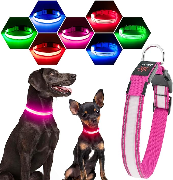 Visinite LED Dog Collar USB Rechargeable, Reflective Light Up Pet Collar for Night Walking, Adjustable Glow Collar for Small Medium Large Dogs (Pink, M)