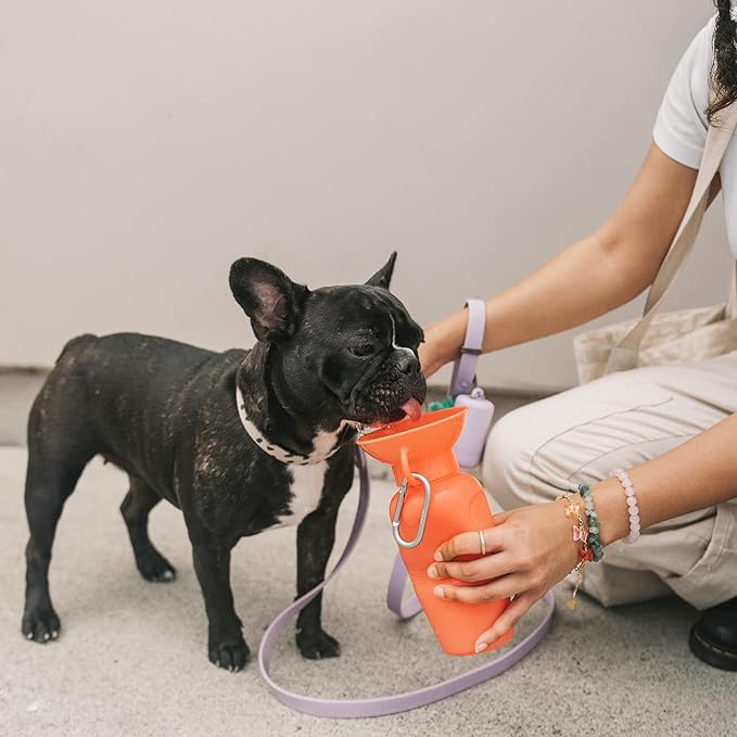 Springer Dog Water Bottle | Portable Travel Water Bottle Dispenser for Dogs | Dog Gift Seen on Oprah's Favorite Things, Shark Tank | Leak-Proof Bottles Fill Bowl with Water | BPA-Free 22oz Poppy