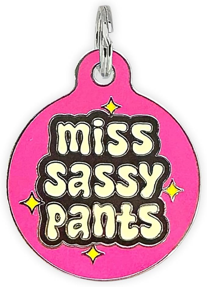 Personalized QR Code Dog Tags - Choose from 25+ Tag Designs - QR Code Links to Your Profile - Unique, Cute, Funny, Sassy Pet ID Tag (Miss Sassy Pants, Large (1.25 inch))