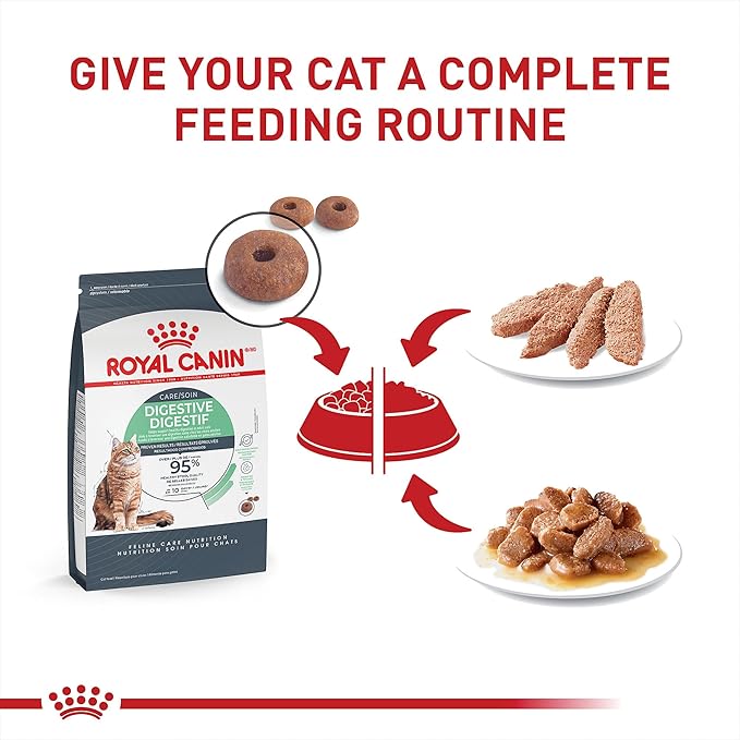 Royal Canin Feline Care Nutrition Digestive Care Adult Thin Slices in Gravy and Loaf in Sauce Cat Food, 3 oz (Pack of 12)