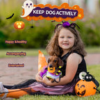 DKING 3Pack Squeaky Dog Balls,2 in1 Funny Puppy Ball Toys,Birthday Dog Toy for Small Medium Dogs (Halloween Ball)