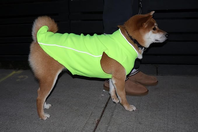 JACKO & CO - Fleece Vest Sweater with Leash Ring - Soft Lightweight Breathable for Puppies Small Medium Dogs, Kitten, Cats, Chihuahua - Warm for Fall/Autumn/Winter (Lime Green, Medium 6-10lbs)