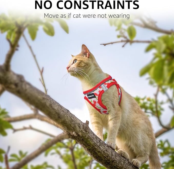 SCENEREAL Cat Harness & Leash Set Escape Proof - Adjustable Air Mesh Vest with Reflective Strips for Kittens, Puppies, Rabbits, Cherry S