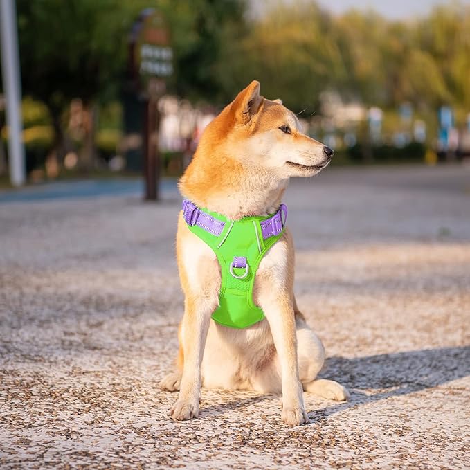 PHOEPET No Pull Dog Harness, Unique Colors Reflective Adjustable Dog Vest, with Soft Training Handle Metal Clips for Small Medium Large Dogs (Green Base & Purple Straps,XL)