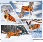 Dog Jackets for Medium Dogs,Medium Dog Coat,Warm Pet Winter Coat Zip Up Back,Waterproof Dogs Jacket with D-Ring,Pet Cold Weather Coats with Fleece Lined, Snowsuit Pug Boston Terrier,M