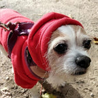 BINGPET Security Dog Hoodies Puppy Sweater Cold Weather Dog Coats Soft Brushed Fleece Pet Clothes Hooded Sweatshirt for Dog Cat