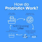 Boxie® Probiotic Cat Litter 40 Day Natural Odor Control, 16lb Clumping Kitty Litter (Clay)