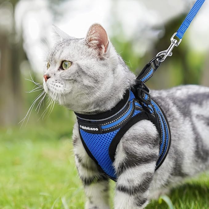 rabbitgoo Cat Harness and Leash Set for Walking Escape Proof, Adjustable Soft Kittens Vest with Reflective Strip for Cats, Comfortable Outdoor Vest,Blue,L