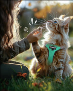 FAYOGOO Escape Proof Cat Harness and Leash Set for Walking, Secure-Fit Step-in Cat Vest Harness, Soft & Lightweight for Kittens and Large Cats