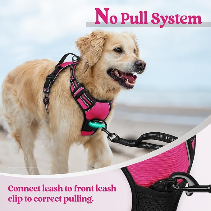 rabbitgoo Dog Harness No Pull with 2 Leash Clips, Adjustable Soft Padded, Reflective Oxford No Choke Pet Vest with Easy Control Handle for Medium Sized Dogs, Hot Pink, M