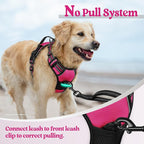 rabbitgoo Dog Harness No Pull with 2 Leash Clips, Adjustable Soft Padded, Reflective Oxford No Choke Pet Vest with Easy Control Handle for Large Dogs, Hot Pink, S