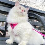 Voyager Escape-Proof Step-in Lock Cat Harness & 5ft Neoprene-Handle Leash Set All-Weather Mesh with Reflective Stitching for Small to Large Cats by Best Pet Supplies, Fuchsia, XXS