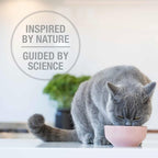 Feline Natural High Protein Dry Cat Food, Freeze-Dried Diet with 98% Meat, Organs & Seafood, No Peas, Grains, or Artificial Additives, Made in New Zealand, Lamb & King Salmon + Beef & Hoki, 11oz