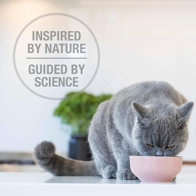 Feline Natural High Protein Dry Cat Food, Freeze-Dried Diet with 98% Meat, Organs & Seafood, No Peas, Grains, or Artificial Additives, Made in New Zealand, Lamb & King Salmon + Beef & Hoki, 11oz