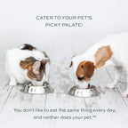 pawTree Healthy Food Toppers for Dogs & Cats - Appetite Booster with Freeze-Dried Proteins. Delicious Pet Food Seasonings and Flavor Enhancer for Picky Eaters & Appetite Stimulation (Salmon)