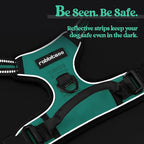 rabbitgoo Dog Harness No Pull with 2 Leash Clips, Adjustable Soft Padded, Reflective Oxford No Choke Pet Vest with Easy Control Handle for Small Dogs, Turquoise, S