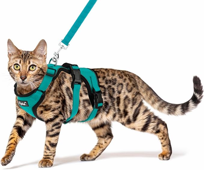 PUPTECK Cat Harness and Leash Set Escape Proof for Walking, Breathable Mash Vest Adjustable Harness for Cats Puppy Small Animals, Reflective at Night, Green Small