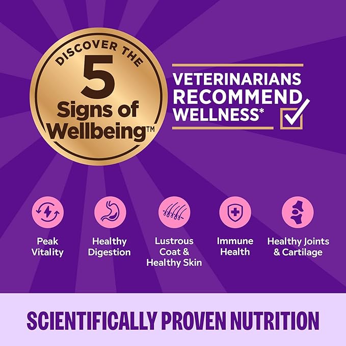 Wellness Complete Health Pate Adult Wet Cat Food, Natural, Protein-Rich, Grain Free, 3 Ounce, 24 Pack, (Beef & Salmon)