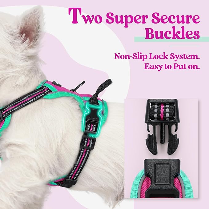 rabbitgoo Dog Harness No Pull with 2 Leash Clips, Adjustable Soft Padded, Reflective Oxford No Choke Pet Vest with Easy Control Handle for Large Dogs, Hot Pink & Turquoise, XS