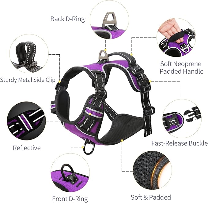 HEELE Dog Harness, No Pull Adjustable Padded Reflective Harness for Small Medium Large Dogs with Handle for Walking Training, Purple, S