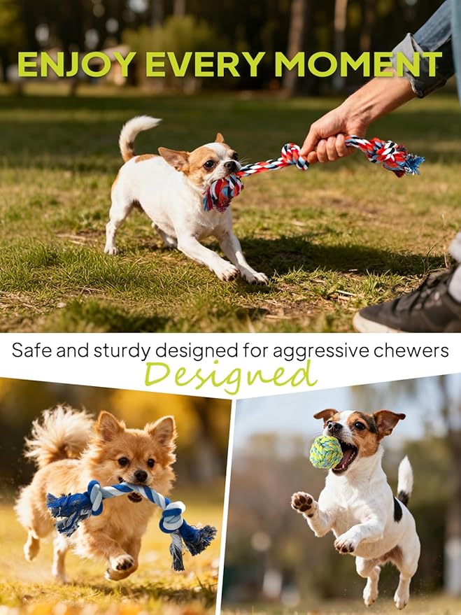 TwoEar Dog Rope Toy 9 Pack - Puppy Teething Toys for Small Medium Breed - Indestructible Dog Chew Toys for Aggressive Chewers - Cotton Tug of War Dog Toys for Boredom, Teeth Clean