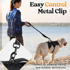 rabbitgoo Escape Proof Dog Harness, Soft Padded Full Body Pet Harness, Reflective Adjustable No Pull Vest with Lift Handle and Leash Clip for Large Dogs Walking Hiking Training, M, Black