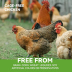 OPET Freeze Dried Cat Treats - Single Ingredient High Protein Pet Food, Healthy Training Snacks, Freeze Dried Chicken Food Toppers for Cats and Dogs, Grain Free (1.76oz)