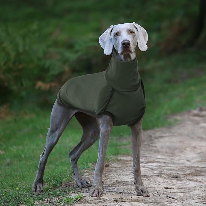 ROZKITCH Dog Winter Coat Soft Pullover Pajamas, Pet Windproof Warm Cold Weather Jacket Vest Cozy Onesie Jumpsuit Apparel Outfit Clothes for Small, Medium, Large Dogs Walking Hiking Travel Sleep Green