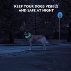 LED Dog Collar, Rechargeable Light Up Dog Collars,IP67 Waterproof Dog Lights for Night Walking，Adjustable, Reusable Safety Necklace for Small Medium Large Dogs(Blue)