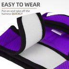 PUPTECK Soft Mesh Cat Vest Harness and Leash Set Puppy Padded Pet Harnesses Escape Proof for Cats Small Dogs, Purple Small