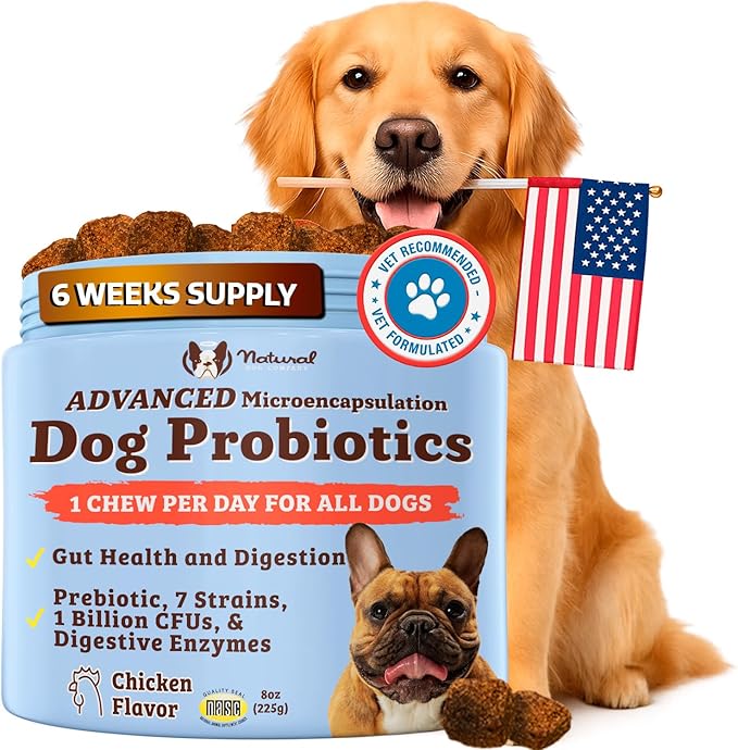 Natural Dog Company Gut Health & Canine Specific Probiotics Chews, 1 Daily Chew for All Dogs, Prebiotics & Digestive Enzymes for Digestion, Gas, Loose Stool, Immune System & Bowel Support, 45 Ct