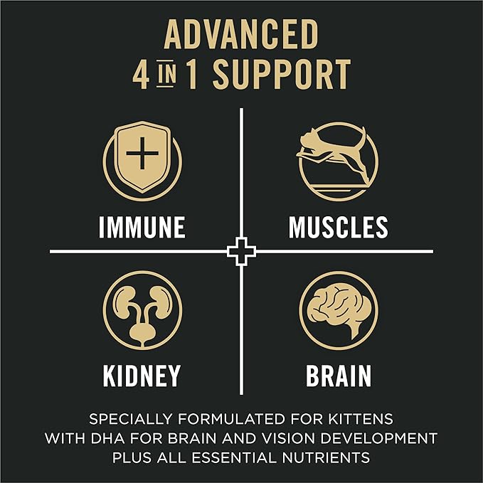 Purina Pro Plan Vital Systems Chicken and Egg Formula Kitten Dry Food 4-in-1 Immune, Muscles, Kidney and Brain and Vision - 5 lb. Bag