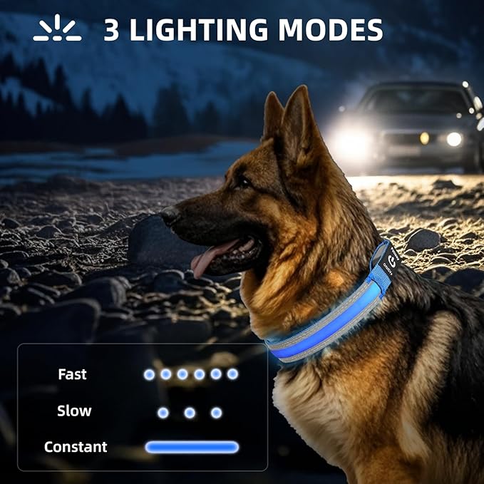 PetIsay LED Dog Collar Metal Buckle - Heavy Duty Light up Collars - Rechargeable IP68 Waterproof - Lighted Dog Collar for Night Walking, Hiking, Camping (Small, Blue)