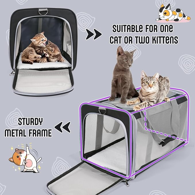 Pet Carrier for Large Cats of 20 Lbs, Collapsible Carrier Bag for Big Cat or 2 Kittens,Soft Sided Puppy Carrier with Sturdy Travel Transport Strap, Adequate Ventilation, 4 Mesh Windows (Black)