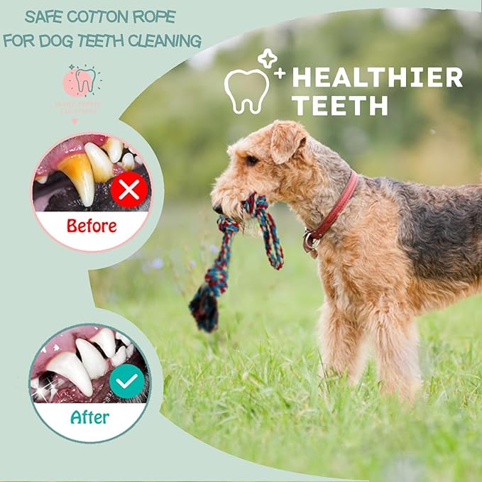 3-Pack Heavy Duty Dog Rope Toy, Tough Chew Toys, Durable Interactive Tug of War &Teeth Cleaning Ropes for Large and Medium Aggressive Chewers (3-Pack, Large)