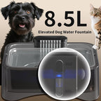 8.5L/2.25Gal Elevated Dog Water Fountain, Xetino 4 Height Adjustable Raised Dog Water Bowl Dispenser for Large Dogs with Stainless Steel Tray, Pet Water Fountain with Ultra Quiet Pump and Filter