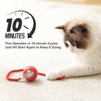 2025 New 3Pack Cat Ball Kitten Toys for Indoor Interactive Kitty Ball Toy Speedy Tail 360° Automatic Rolling(Red Grey Green)