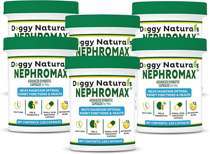 NEPHROMAX™ Kidney Support Supplement Synbiotic (720 Caps)
